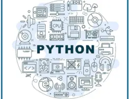 What To Expect From A Full Stack Python Developer?