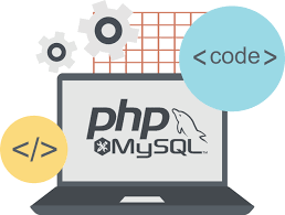 Professional Web Development Services