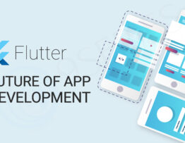 Flutter App Development Services - Hire Expert Flutter Developers