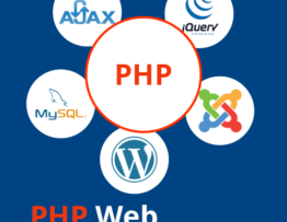 Why You Should You Learn PHP Web Development in 2020?